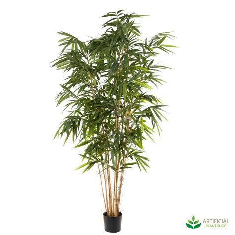 Artificial Bamboo Tree Extra Large 24m Natural Trunk