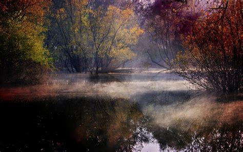Landscape Nature Lake Mist Forest Colorful Trees