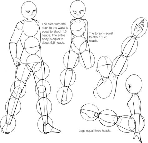 Then, draw the head, neck, and torso with a waistline on top of the stick figure outline. Anime Body Templates For Drawing at GetDrawings | Free ...