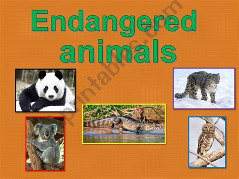 Esl English Powerpoints Endangered Animals