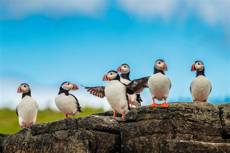 Lindblads National Geographic Endurance Named In Iceland