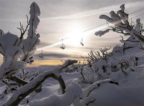 Snow Perisher Nsw Cool Pictures Natural Landmarks Adventure