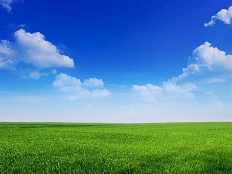 958500 Green Grass Blue Sky Stock Photos Pictures And Royalty Free