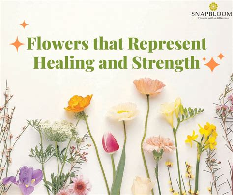 Flowers That Represent Healing And Strength Snapblooms Blogs
