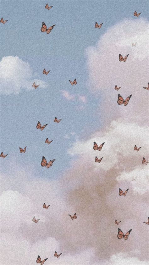 Butterflies Wallpaper 🦋 Discovered By 𝓿𝓮𝓷𝓾𝓼 On We Heart It