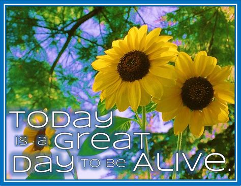 Its A Great Day To Be Alive Quotes Quotesgram