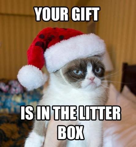 Grumpy Cat S Days Of Christmas