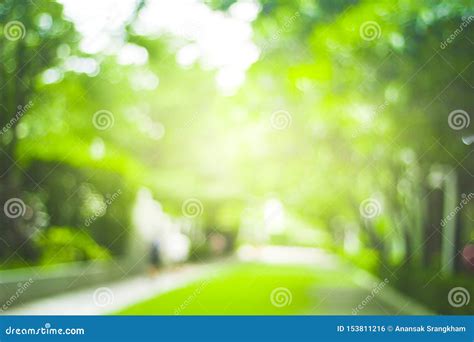 29 Nature Blur Background Full Hd Download Green Wallpaper