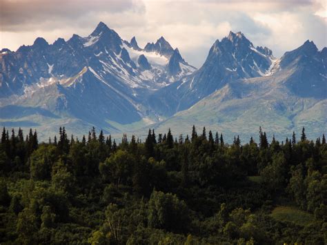 Alaska Forest Hd Wallpaper 792 Intelligence For Humans