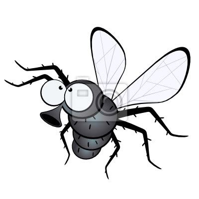 Fliege cartoon vektor leinwandbilder • bilder behaart, Ungeziefer