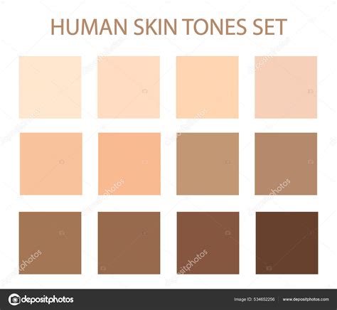 Skin Tone Color Chart Human Texture Color Vector Image Manminchurch Se