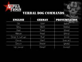 Training A Dog In German Alpha Dog Dog Commands Dogs