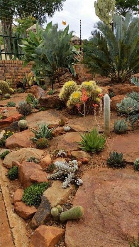 10 Front Yard Cactus Garden