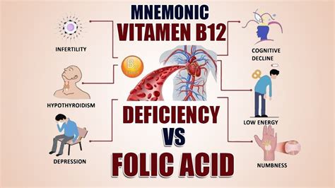 Mnemonic Vit B12 Deficiency Vs Folic Acid Urduhindi Youtube