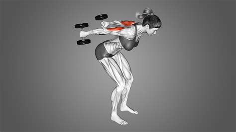 Dumbbell Tricep Kickbacks Benefits Muscles Worked And More Inspire Us