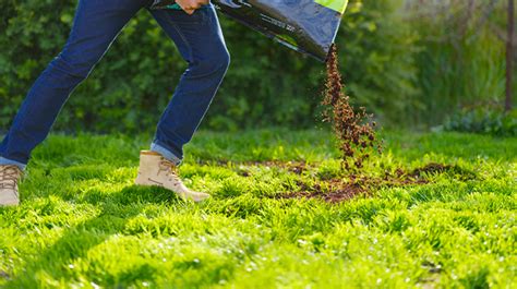 Can You Add Peat Moss To Your Lawn Pro Mix Gardening