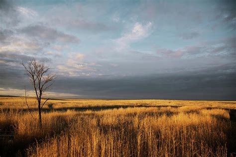 Grey Clouds Hovering Over Orange Landscape Digital Art By Kristian