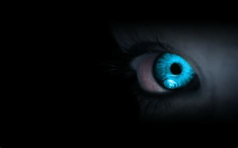 Hd Wallpaper Eyes Blue Eyelash Pupil Fear Human Eye Eyesight