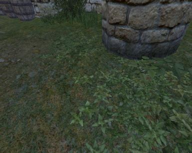 Ribhinn Wars At Mount Blade Warband Nexus Mods And Community