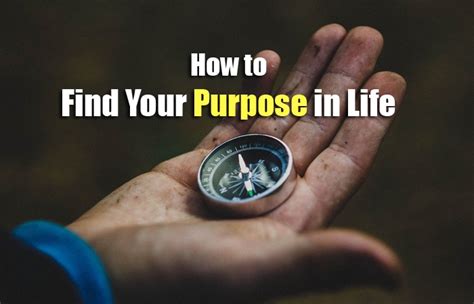 Four Steps To Finding Your Purpose In Life Scientific American