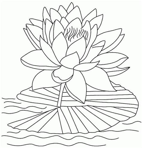 Lotus Flower Coloring Pages Coloring Home