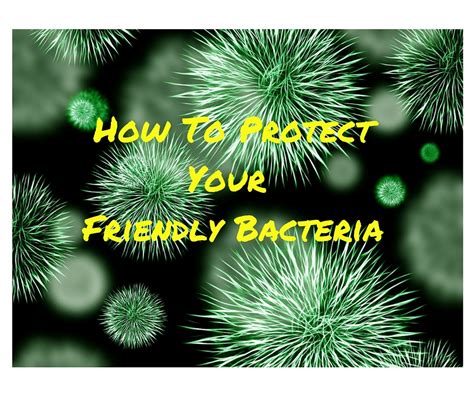 How To Protect Your Friendly Bacteria Clean Eating With Benefits