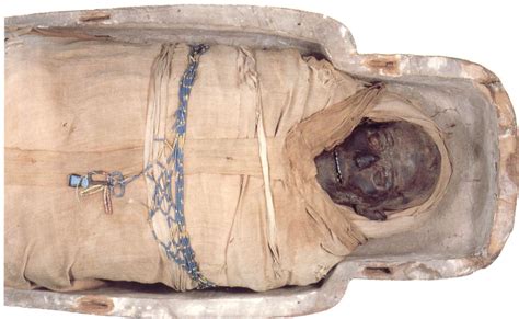 Ancient Egyptian Mummies Travel To Manchester For Health Check Up