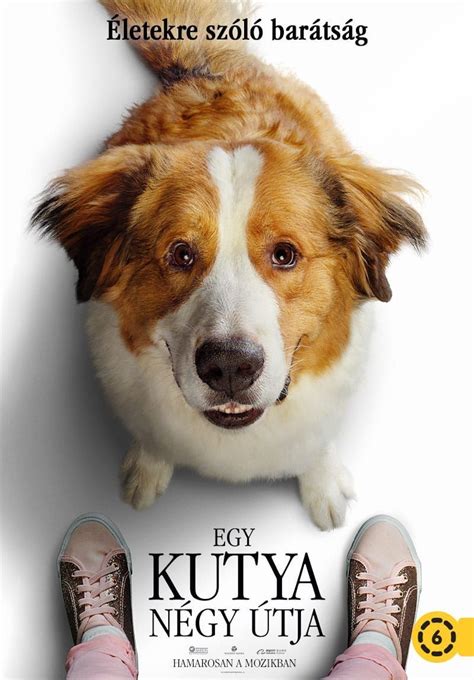 Könnyen methode nézni egy kutya négy útja teljes film online ingyen. Egy kutya négy útja (2019) teljes film magyarul online ...