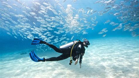 Scuba Diving In Lanzarote Lanzarote Tourist Guide