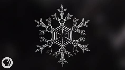 Identical Snowflakes Scientist Ruins Winter For Everyone Deep Look