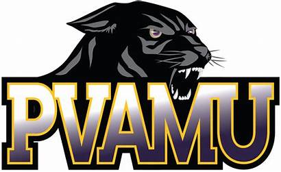 Prairie Panthers Panther Logos College Primary Sportslogos