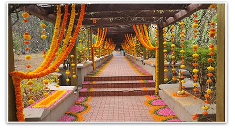 Marigold — The Perfect Indian Wedding Flower By Vandana Naina Medium