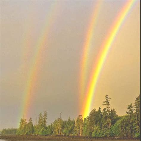 The Beauty Of A Quadruple Rainbow Quadruple Rainbow Science Nature