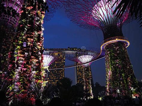 Garden By The Bay At Night In Singapore Stock Photo Image Of