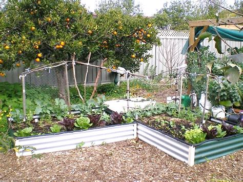 Growing Vegetables In Small Spaces Sustainable