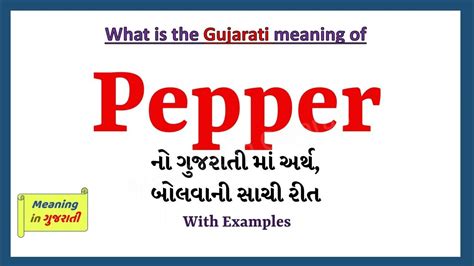 Pepper Meaning In Gujarati Pepper નો અર્થ શું છે Pepper In Gujarati
