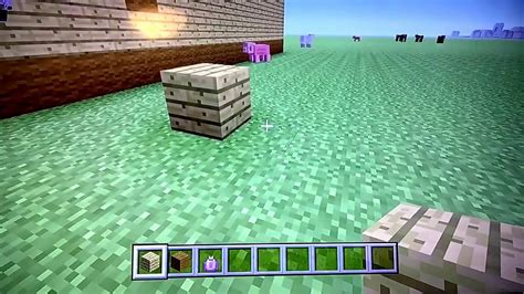 Oak Wood Planks Minecraft