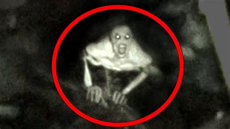 5 Mysterious Creatures Caught On Camera YouTube