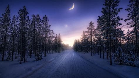 Snow Covered Road Between Trees Under Blue Sky With Moon