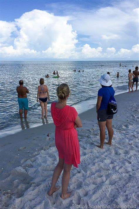 A Locals Guide To The 7 Best Beaches In Naples Florida — Travlinmad