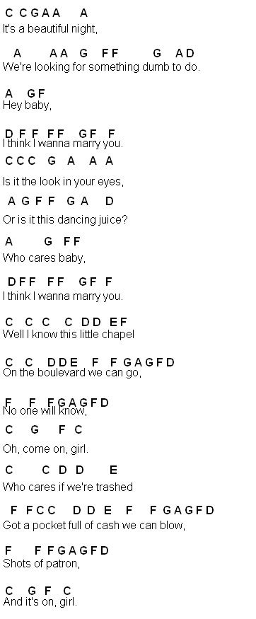 Is it the look in your eyes or is it this dancing juice? Flute Sheet Music: Marry You