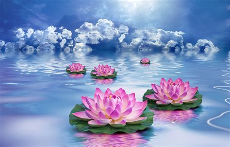 Wallpaper The Sky Water Clouds Flowers Lotus Images For Desktop