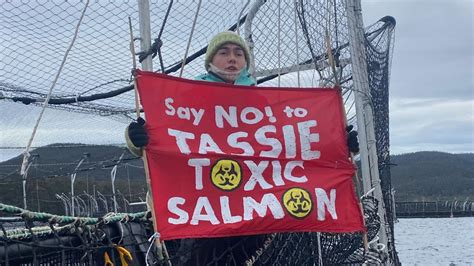 Anti Salmon Farm Protesters Climb Tassal Salmon Pens The Mercury