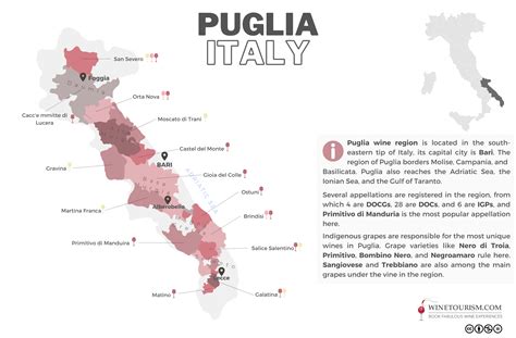Your Guide To Puglia Wine Region Winetourism Com