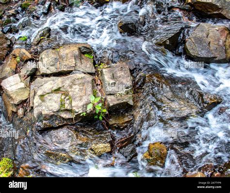 Arkansas Ozark Mountain Waterfall In Spring Stock Photo Alamy