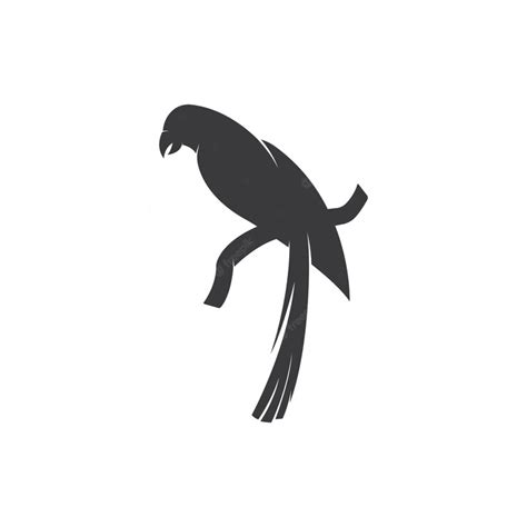 Premium Vector Parrot Logo Design Vector
