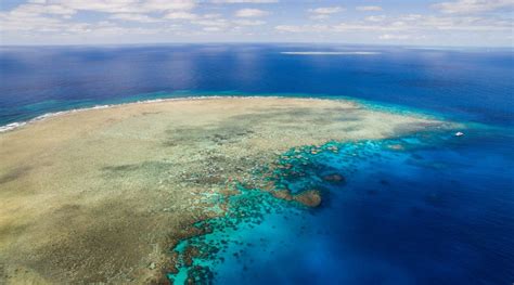 Cairns Great Barrier Reef Tour Visit Australia