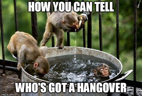 Thirsty Hangover Imgflip