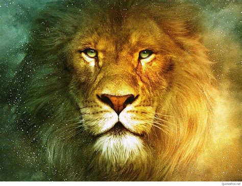 Fresh Lion Wallpaper Hd 1080p | High Definition Wallpapers Looking for the best hd 3d 1080p wallpapers?
