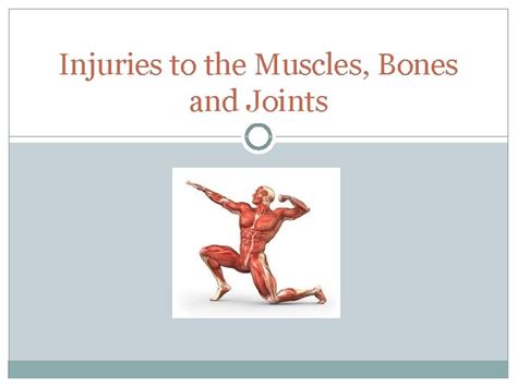 Injuries To The Muscles Bones And Joints Muscles